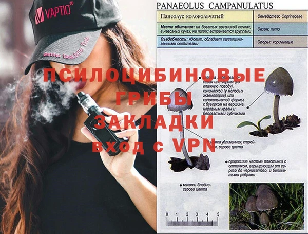 бошки Заволжск