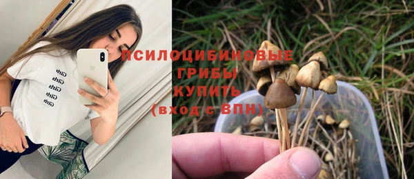 прущий лед Абаза